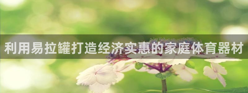 极悦娱乐旗下艺人名单：利用易拉罐打造经济实惠的家庭体