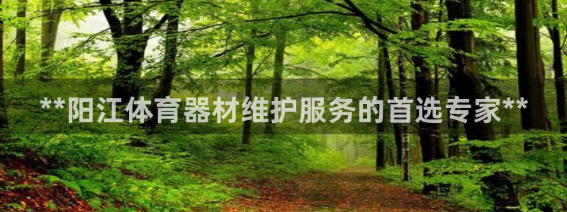 极悦平台：**阳江体育器材维护服务的首选专家**