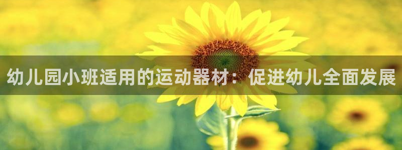 极悦娱乐下载官网：幼儿园小班适用的运动器材：促进幼儿