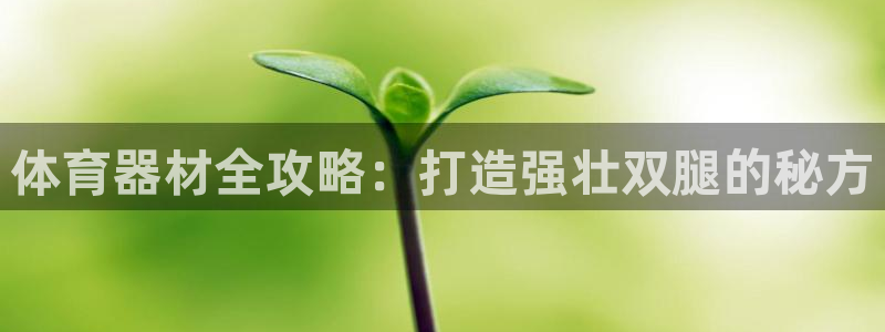 极悦平台注册用户名验证码是什么：体育器材全攻略：打造