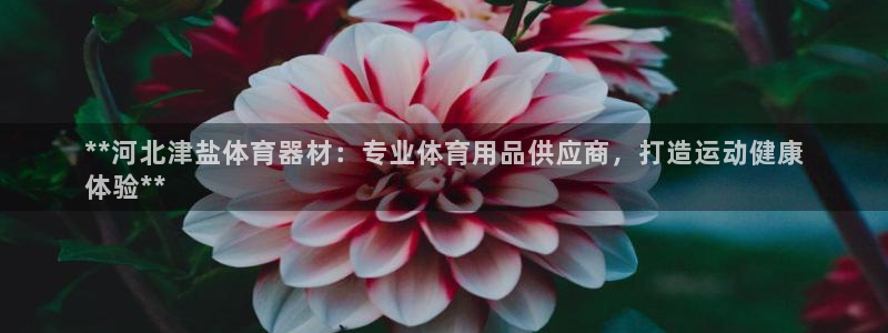 极悦平台注册流程图：**河北津盐体育器材：专业体育用