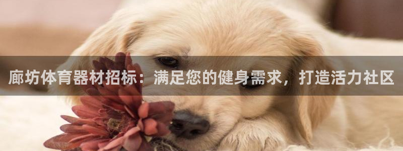 舒客极悦牙膏：廊坊体育器材招标：满足您的健身需求，打