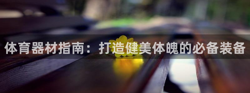 极悦平台注册：体育器材指南：打造健美体魄的必备装备