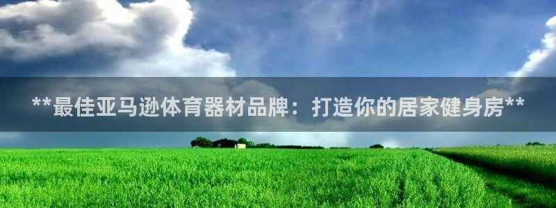 极悦娱乐游戏中心：**最佳亚马逊体育器材品牌：打造你