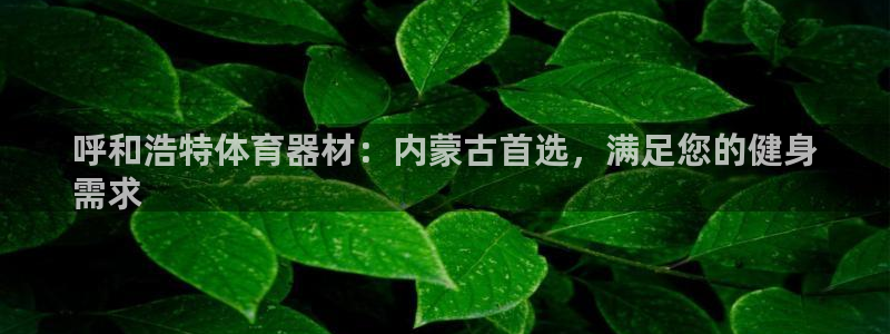 极悦平台代理怎么样啊：呼和浩特体育器材：内蒙古首选，