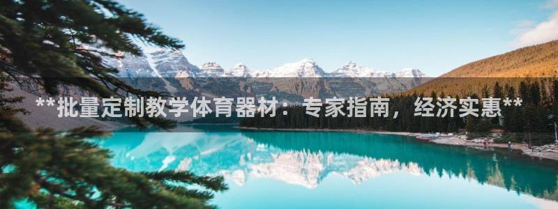 极悦官方网站app下载安卓：**批量定制教学体育器材