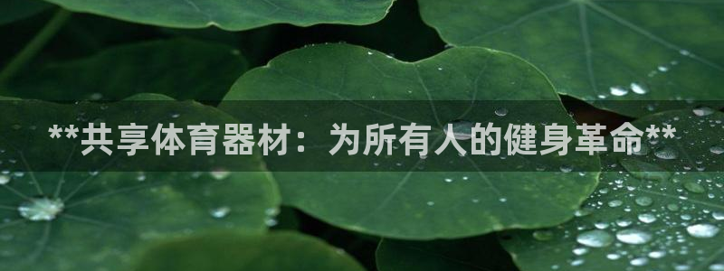 极悦官网注册最新版本更新内容在哪：**共享体育器材：