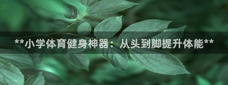 极悦平台客服团队怎么样：**小学体育健身神器：从头到