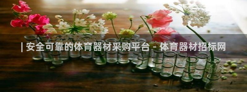 极悦平台集7O777：| 安全可靠的体育器材采购平台