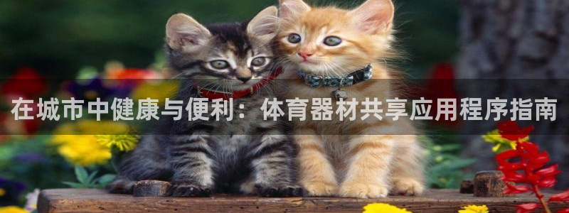 极悦娱乐负责人怎么样：在城市中健康与便利：体育器材共