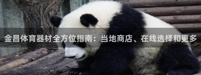 极悦平台是干什么的啊：金昌体育器材全方位指南：当地商