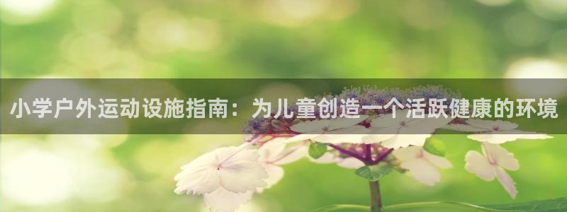 极悦平台客服投诉电话是多少号：小学户外运动设施指南：