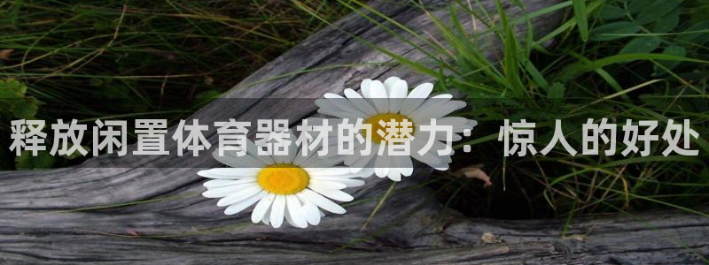 极悦娱乐app官方版本更新内容在哪：释放闲置体育器材