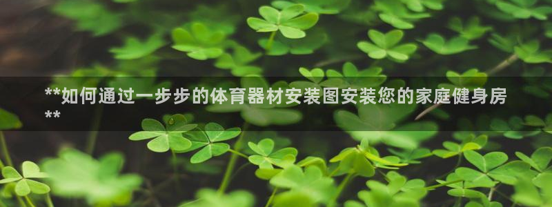 极悦平台官网登录不了了：**如何通过一步步的体育器材
