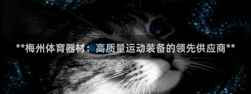 极悦娱乐贴吧：**梅州体育器材：高质量运动装备的领先