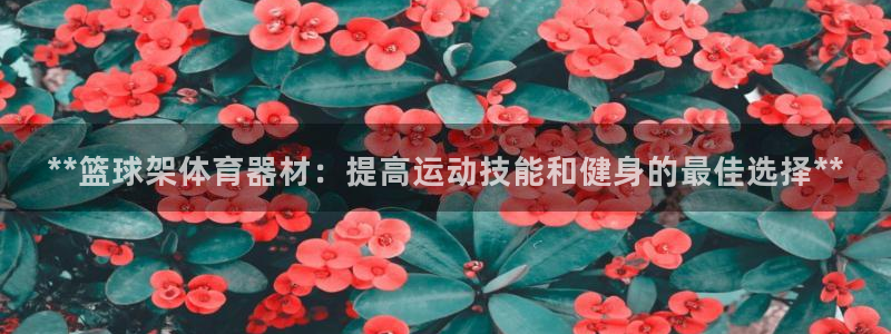 极悦平台登录7.0.2.4手机版下载安卓：**篮球架