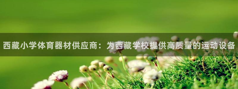 极悦平台官方网站入口：西藏小学体育器材供应商：为西藏