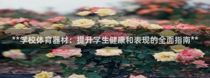 极悦平台官网登录入口下载：**学校体育器材：提升学生