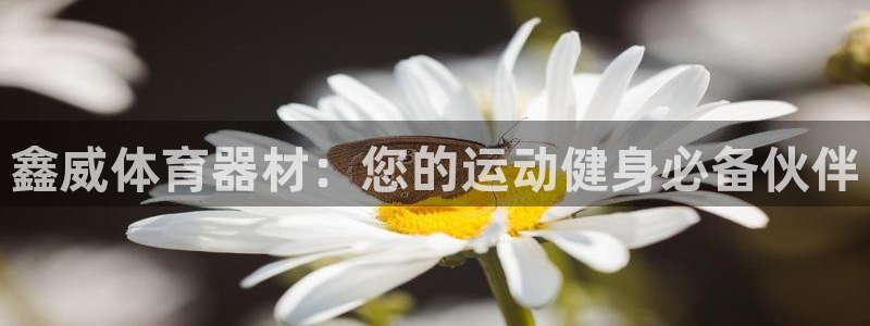 极悦娱乐代理怎么样：鑫威体育器材：您的运动健身必备伙