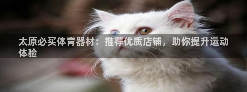 极悦平台官方网站下载安卓：太原必买体育器材：推荐优质
