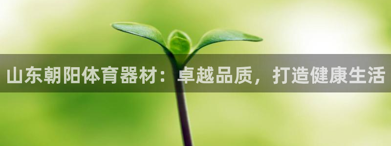 极悦平台：山东朝阳体育器材：卓越品质，打造健康生活
