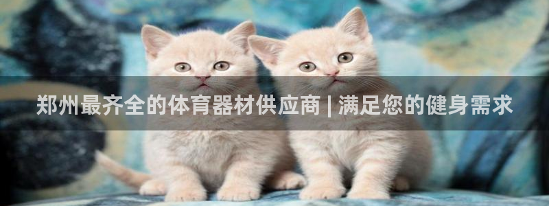 极悦娱乐官网入口网址：郑州最齐全的体育器材供应商 |