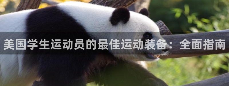 极悦娱乐负责人：美国学生运动员的最佳运动装备：全面指