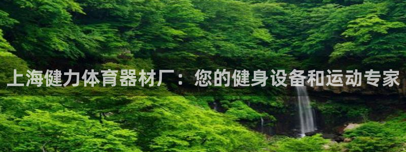 极悦平台登录最新版本更新内容怎么删除：上海健力体育器