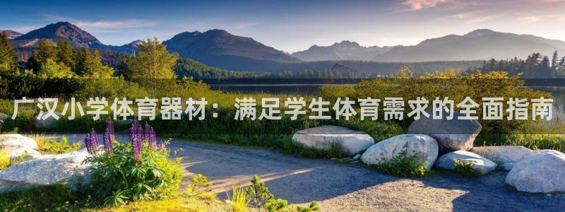 极悦平台注册流程视频：广汉小学体育器材：满足学生体育
