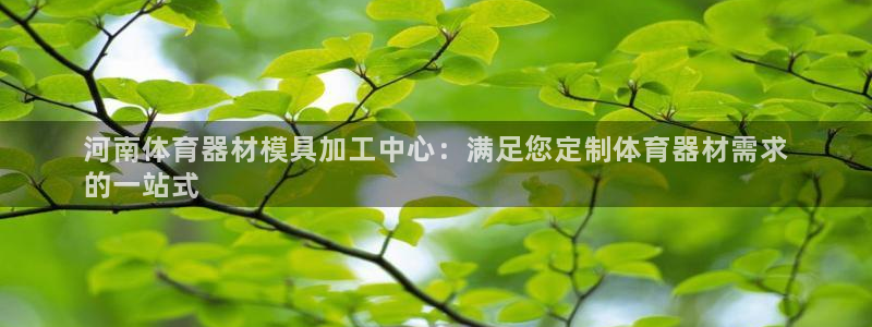 极悦平台使用教程图解：河南体育器材模具加工中心：满足