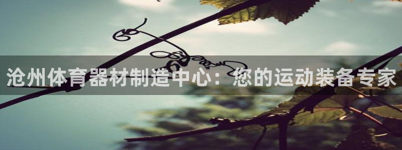 深圳极悦文化传媒有限公司：沧州体育器材制造中心：您的