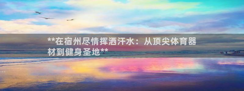 极悦官方网站app下载安卓：**在宿州尽情挥洒汗水：