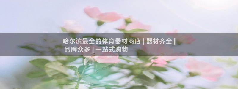 极悦平台是干嘛的公司：哈尔滨最全的体育器材商店 | 