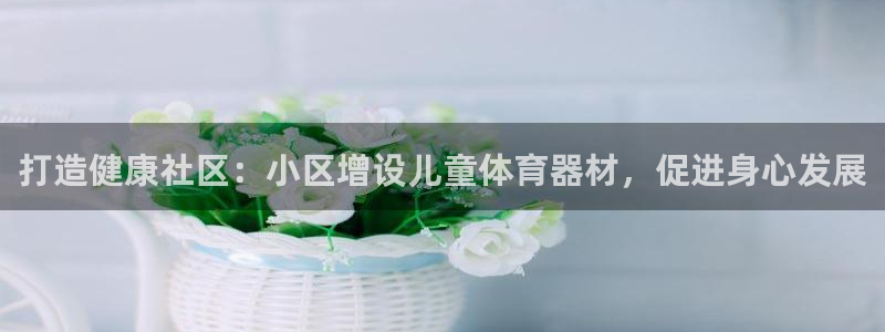 极悦平台注册流程图：打造健康社区：小区增设儿童体育器