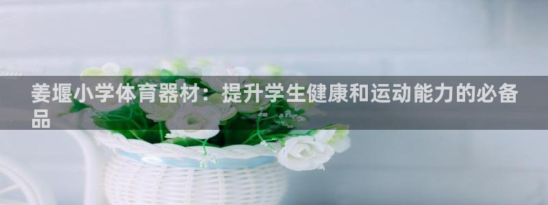 极悦娱乐的创始人背景故事简介：姜堰小学体育器材：提升