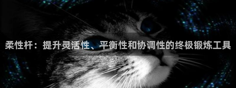 极悦平台注册用户名验证不了：柔性杆：提升灵活性、平衡
