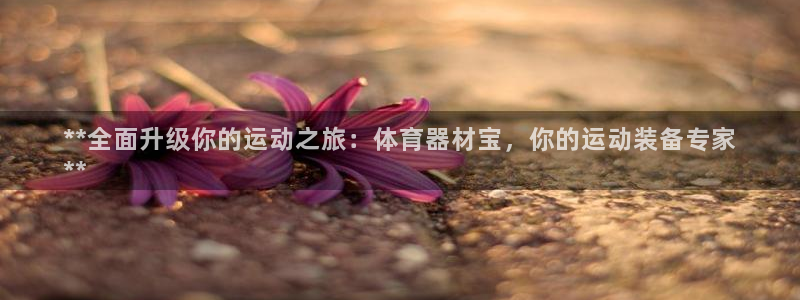 极悦平台是正规平台吗安全吗可靠吗：**全面升级你的运
