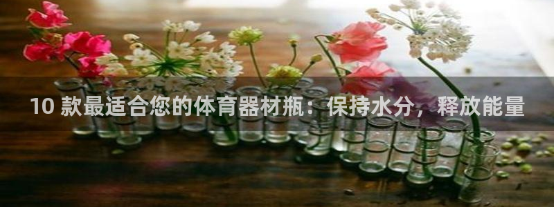 极悦平台注册官方网站下载安装：10 款最适合您的体育
