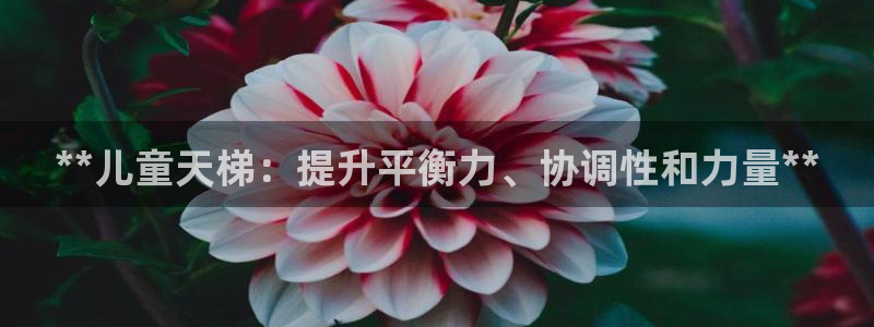 极悦平台注册用户名格式是什么：**儿童天梯：提升平衡