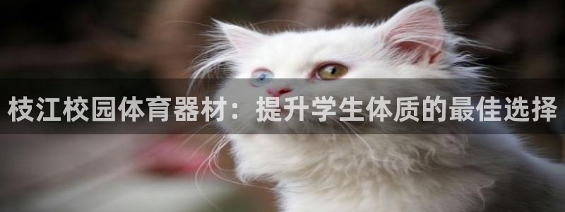 极悦平台创始人背景故事是什么：枝江校园体育器材：提升