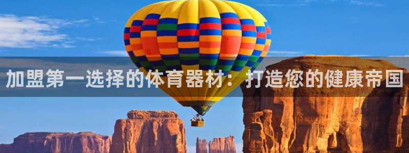 极悦平台与网易合作详情