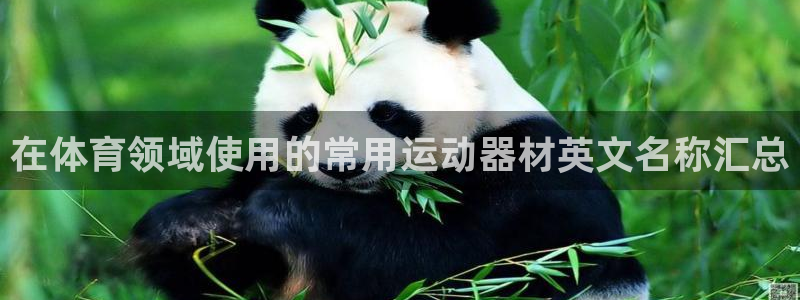 极悦官网的登录方法有哪些：在体育领域使用的常用运动器