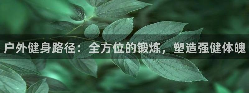 极悦娱乐官网入口：户外健身路径：全方位的锻炼，塑造强