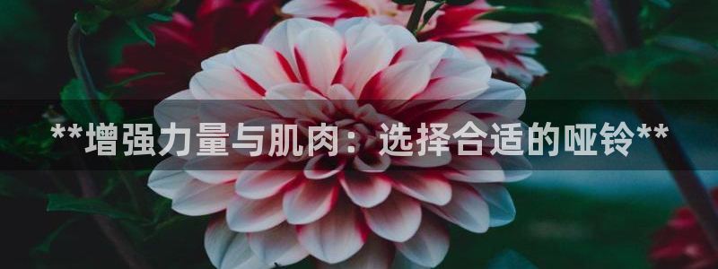 极悦娱乐股东名单：**增强力量与肌肉：选择合适的哑铃