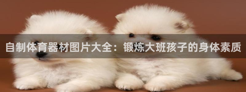 极悦娱乐官方网站：自制体育器材图片大全：锻炼大班孩子