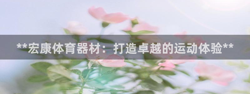 极悦平台登录入口注册不了：**宏康体育器材：打造卓越