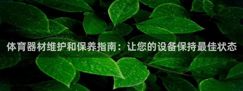 极悦平台和蓝狮平台区别：体育器材维护和保养指南：让您