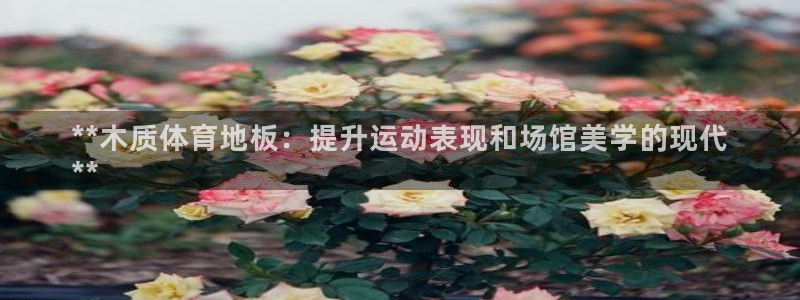 极悦娱乐负责人怎么样：**木质体育地板：提升运动表现