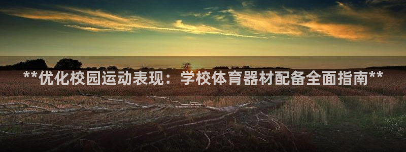 极悦平台官网入口网站：**优化校园运动表现：学校体育