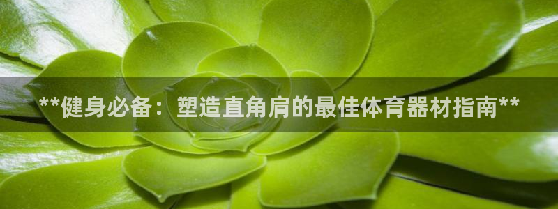 苏州极悦信息科技有限公司：**健身必备：塑造直角肩的